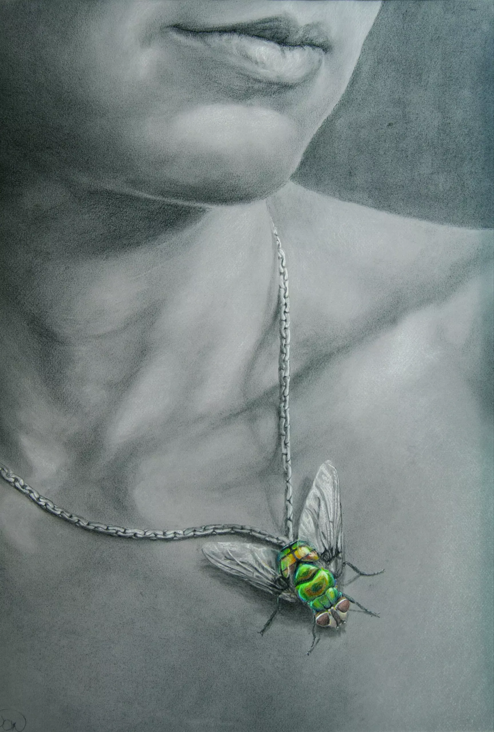 Wandbild (144) Motive – 144 präsentiert: Menschen,Kreatives,Tiere,Frauen,Insekten,Surrealismus