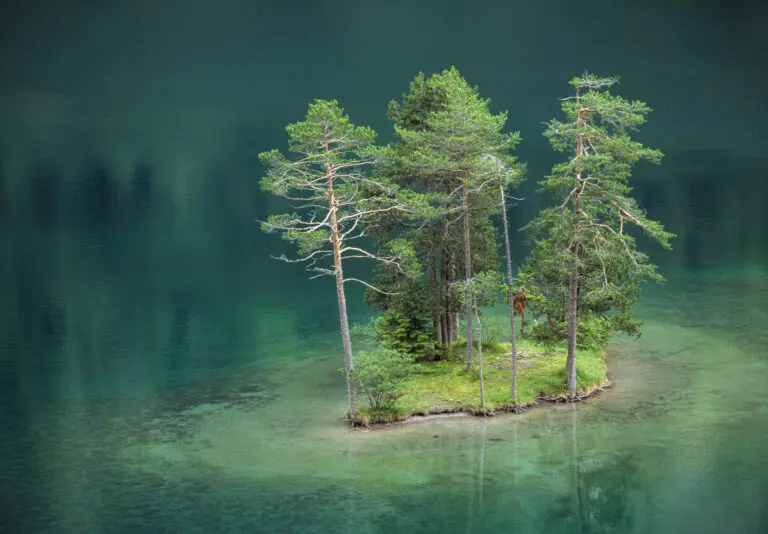 Dream Island