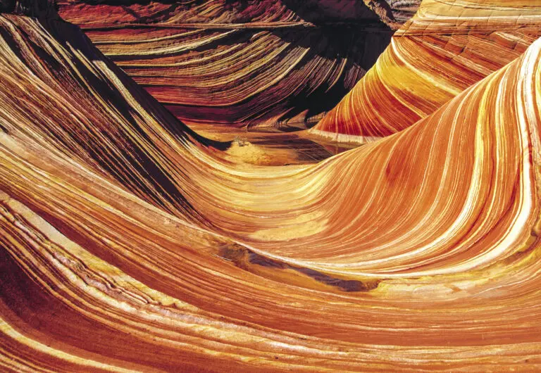 The Wave
