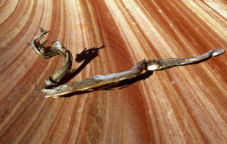  (269) Wooden Snake präsentiert: Detailaufnahmen, Details und Strukturen, Erde, Landschaften, Natur, Sonstige Naturdetails, Wüste