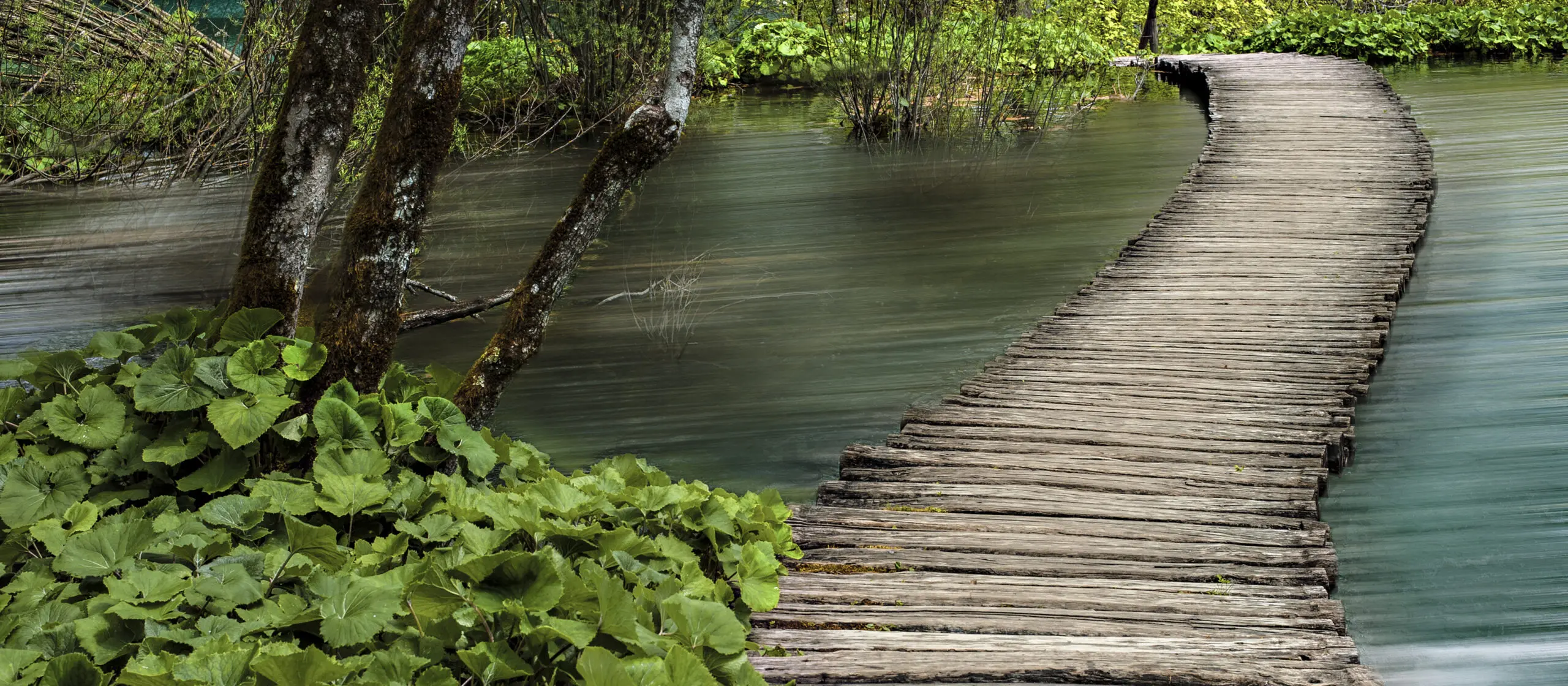Wandbild (301) Steg präsentiert: Wasser,Natur,Landschaften,Sommer,Stege,Gewässer,Bäche und Flüsse,Seen,Stege