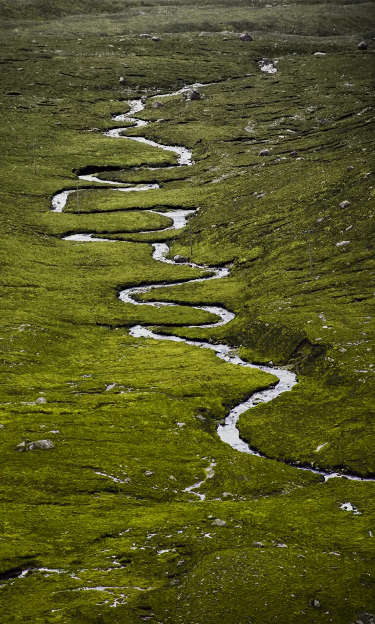  (338) Die Schlange im GrÜnen präsentiert: Bäche und Flüsse, Landschaften, Wasser