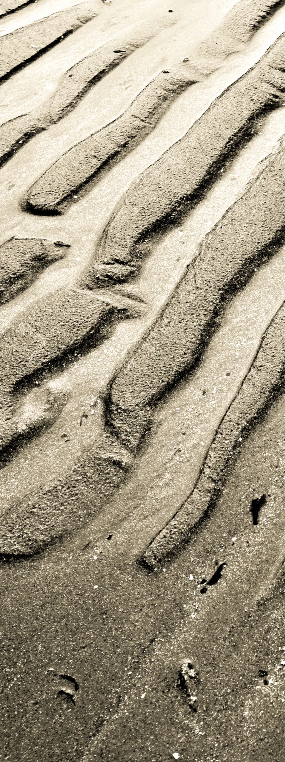 Wandbild (337) Waveboard präsentiert: Details und Strukturen,Landschaften,Strände,Sonstige Naturdetails