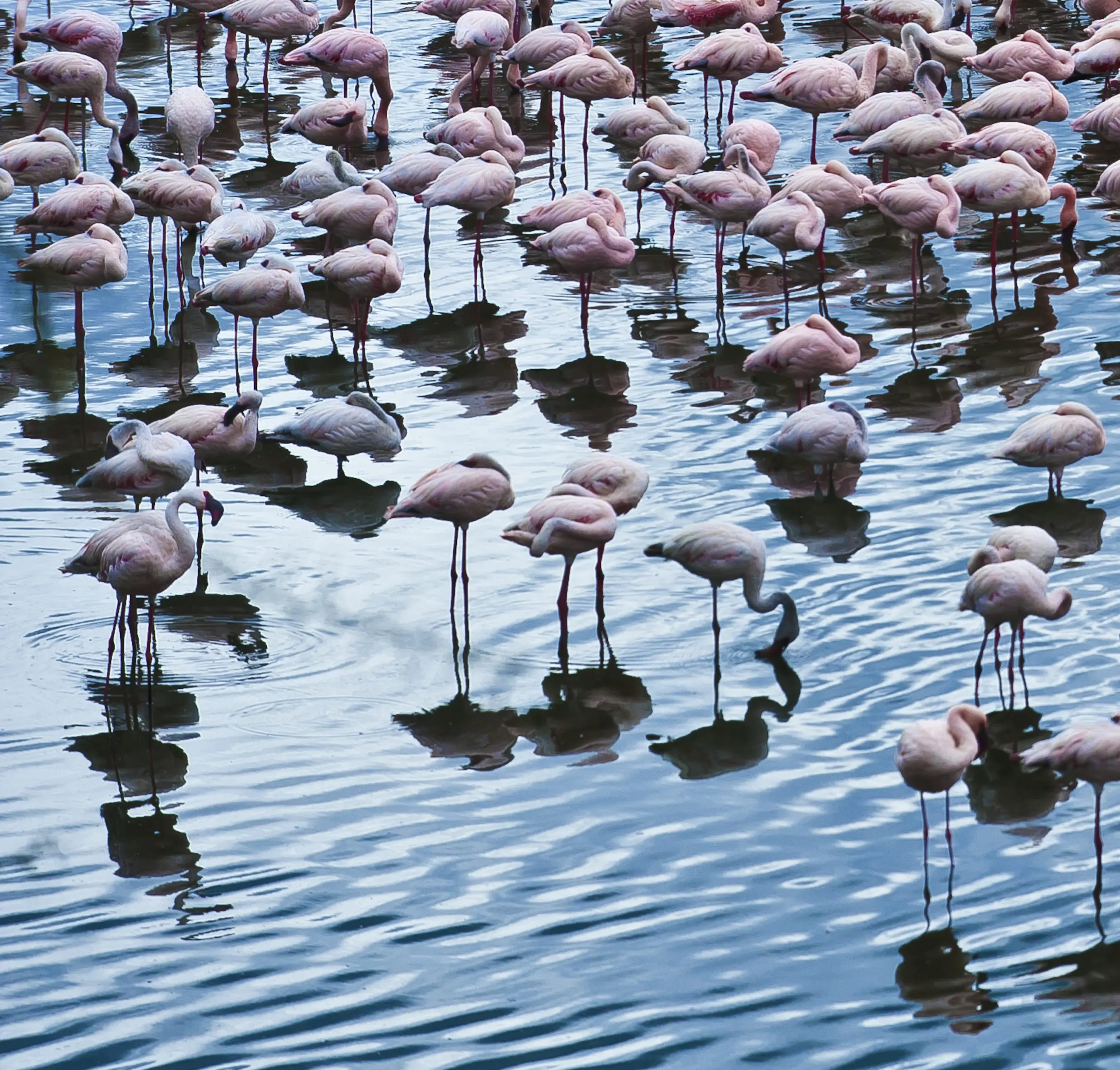 Soda lake