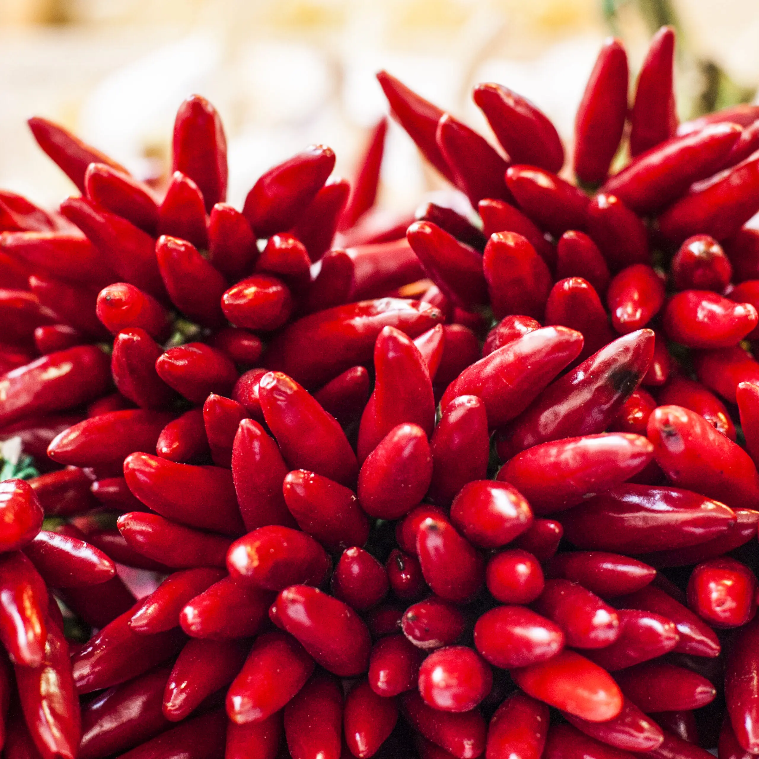 Wandbild (387) Red Hot präsentiert: Details und Strukturen,Stillleben,Essen und Getränke