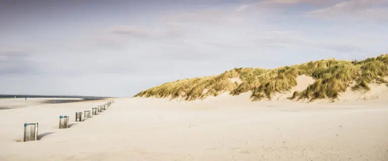  (404) Zeeland Beach 2 präsentiert:  