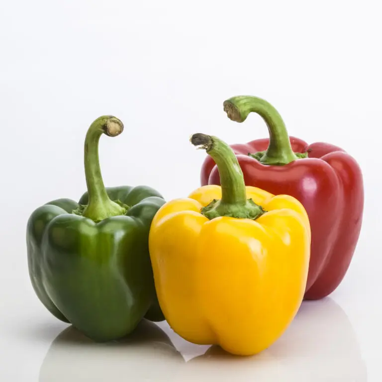  (402) Tricolore präsentiert: Essen und Getränke, Stillleben