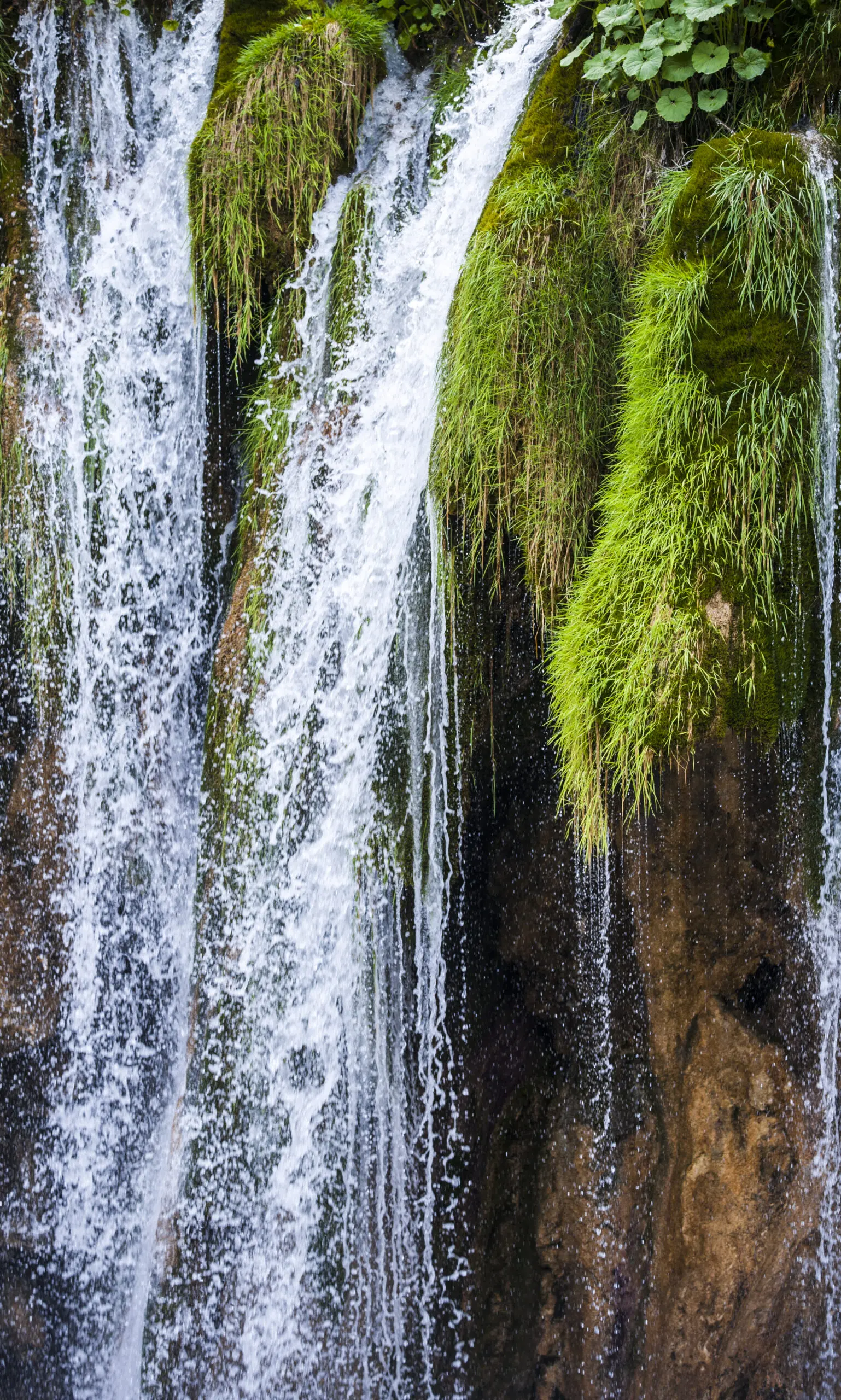 Wandbild (399) Flow II präsentiert: Landschaften,Wasser,Gew&auml;sser,Wasserf&auml;lle