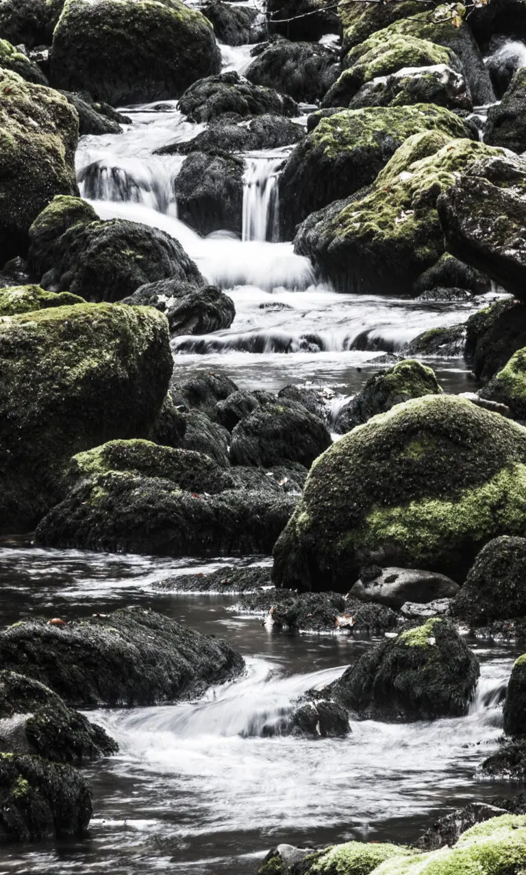  (493) Vatten präsentiert: Wasser, Bäche und Flüsse, Natur