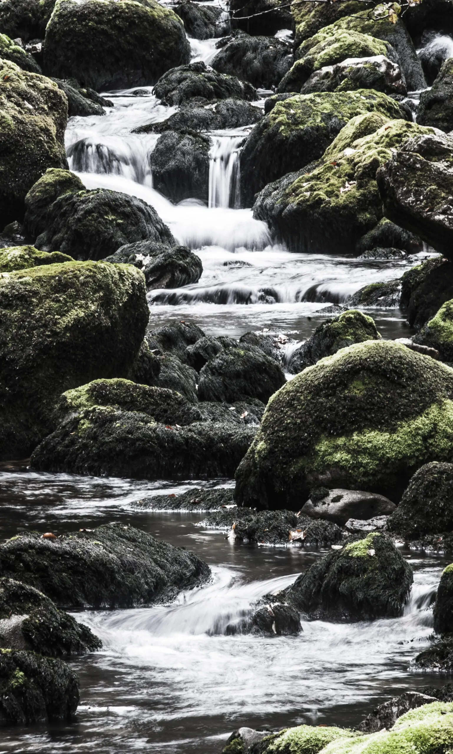Wandbild (493) Vatten präsentiert: Wasser,Natur,B&auml;che und Fl&uuml;sse