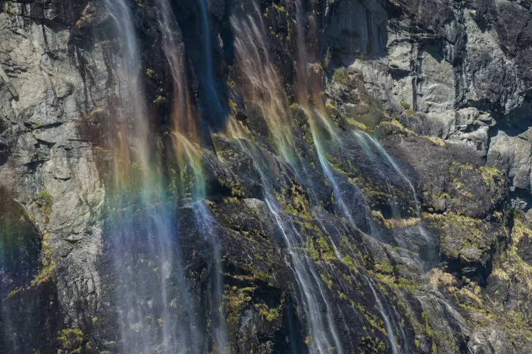  (476) 7 Sister´s Rainbow präsentiert:  