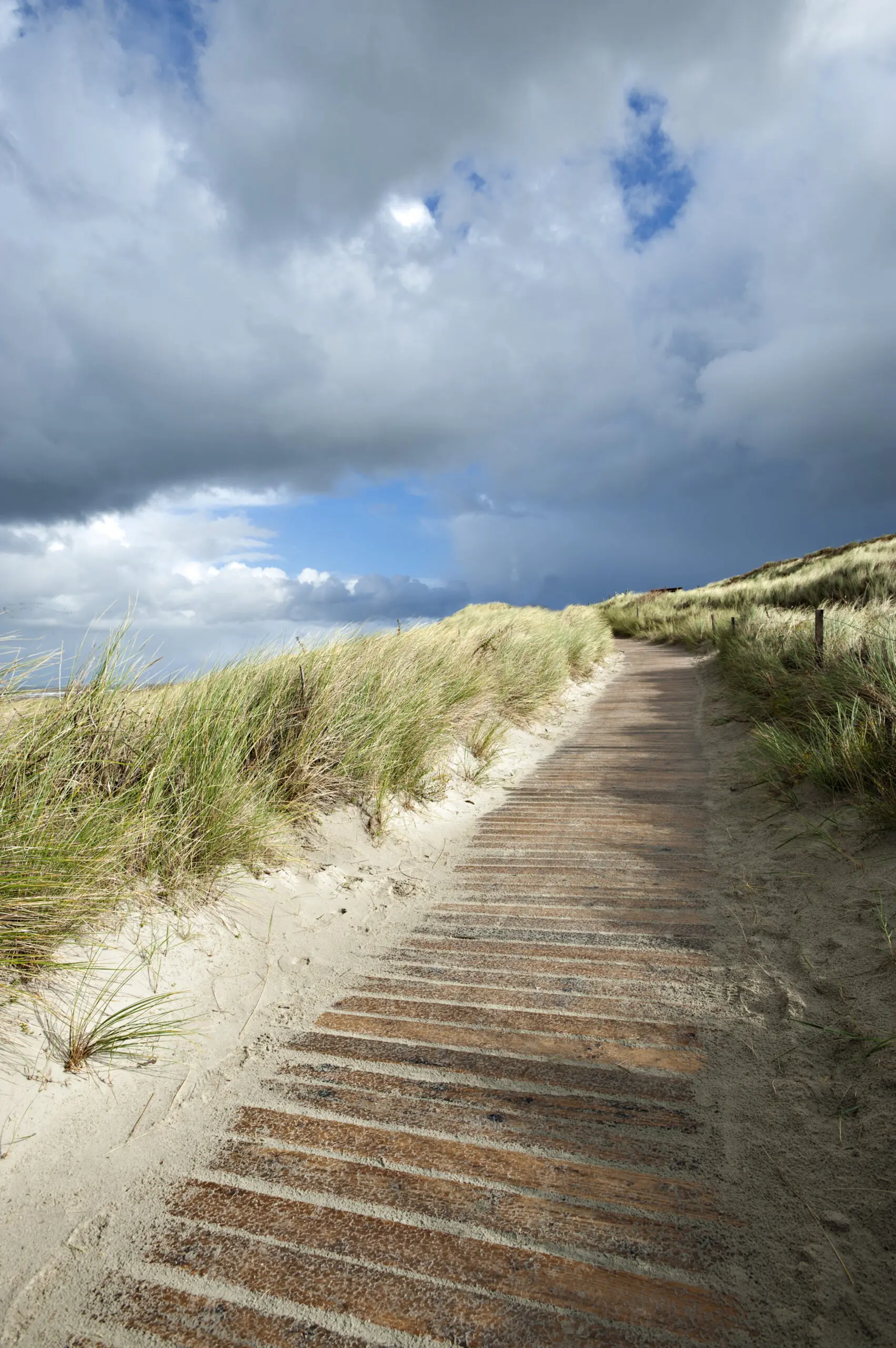 Wandbild (458) Strandweg präsentiert: Landschaften,Str&auml;nde,Wege