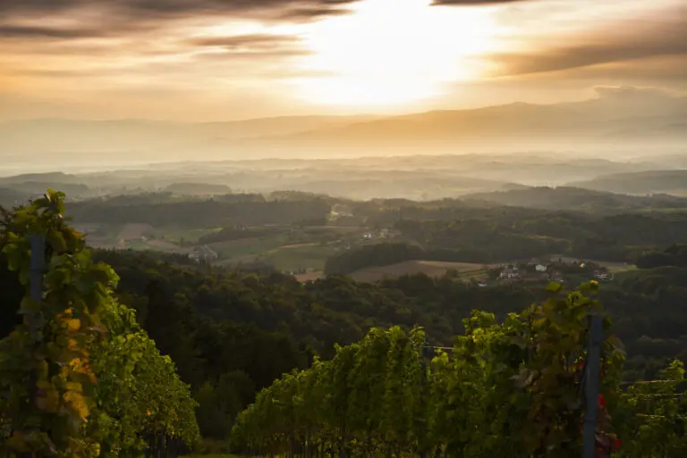  (588) Schneider Annerl präsentiert: Landschaften, Sommer, Sonstige