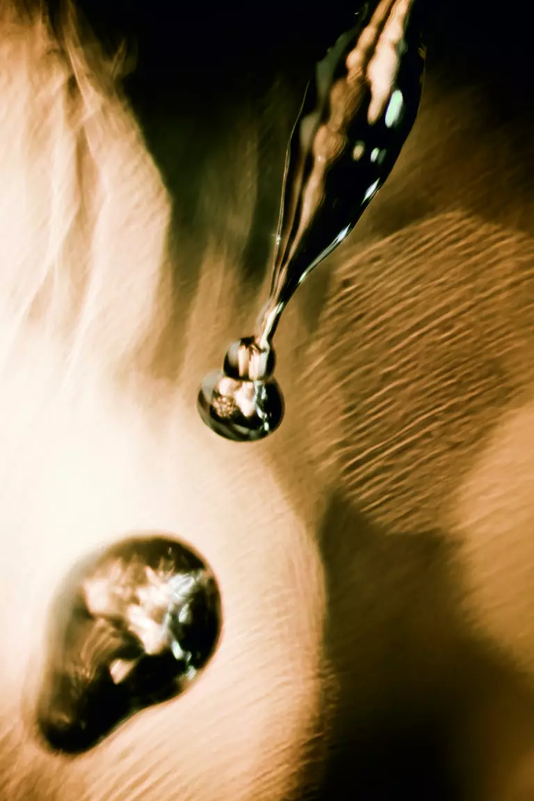 Waterdrops III