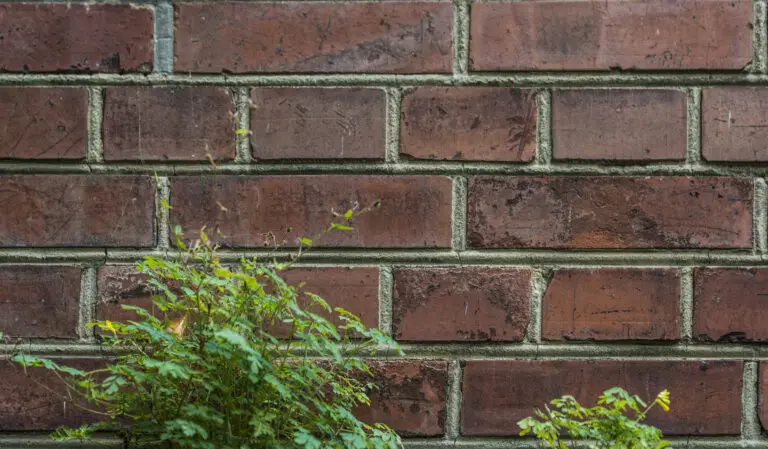  (1105) The Wall 2 präsentiert: Detailaufnahmen