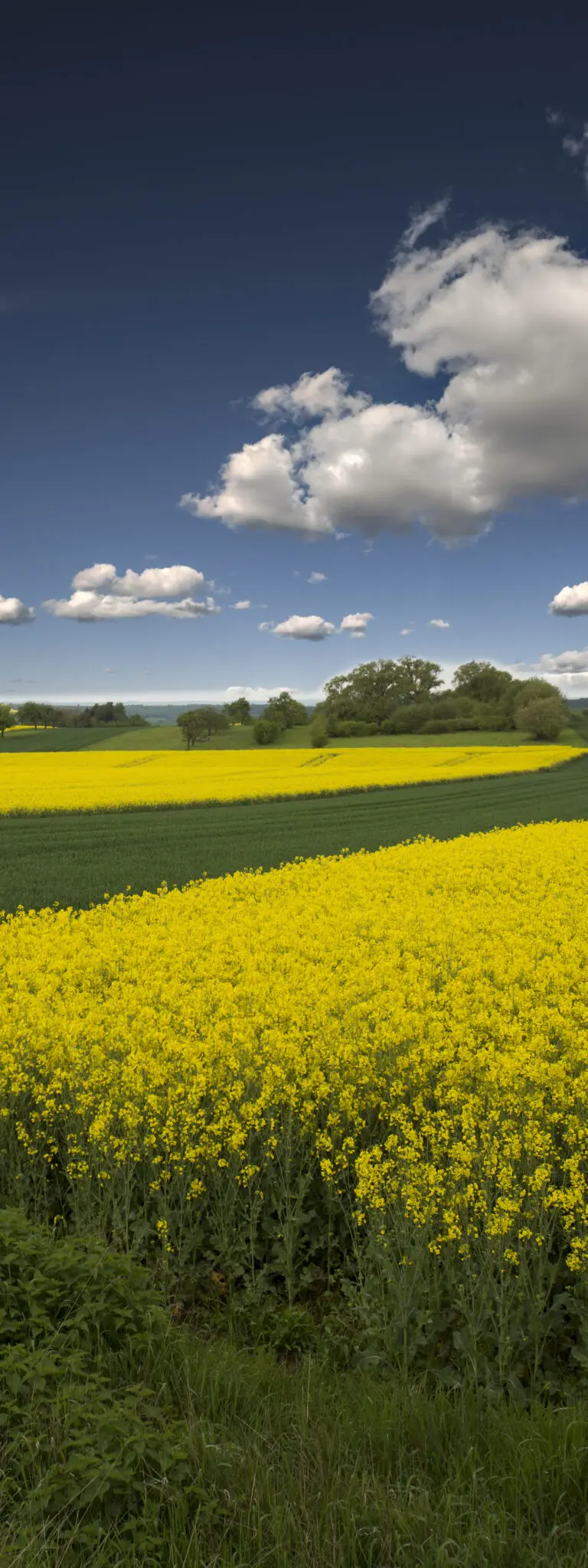  (1163) Motive – 1163 präsentiert: Frühling, Landschaften