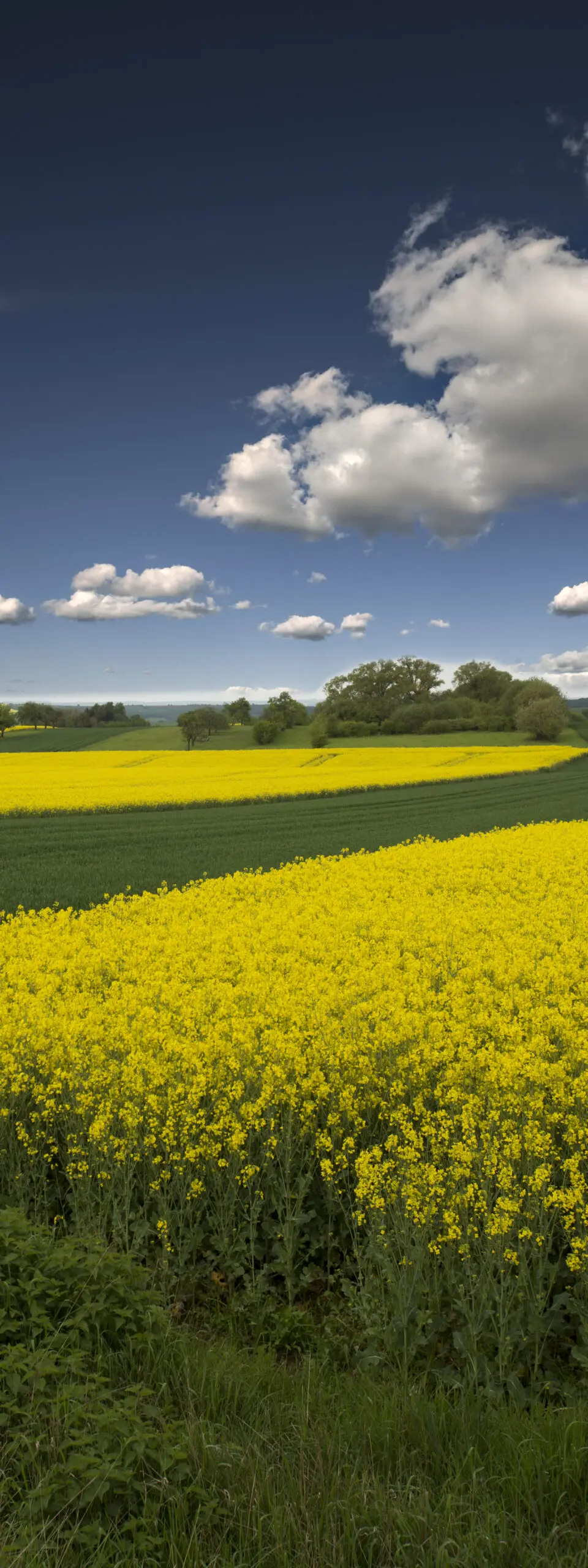Wandbild (1163) Motive – 1163 präsentiert: Landschaften,Frühling