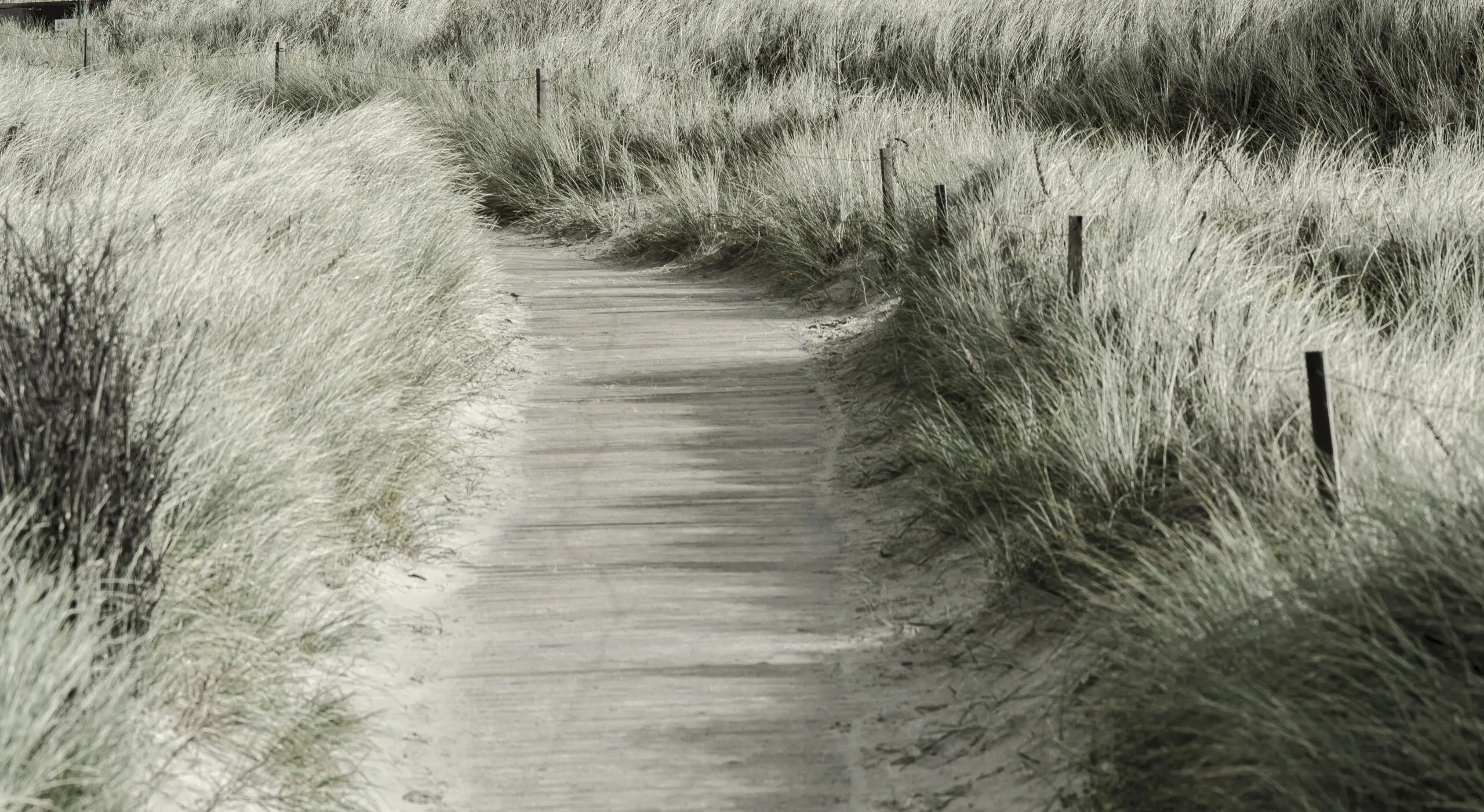 Wandbild (1173) Pathway präsentiert: Landschaften,Wege
