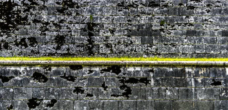  (1187) Streif am Horizont präsentiert: Architektur, Detailaufnahmen, Details und Strukturen