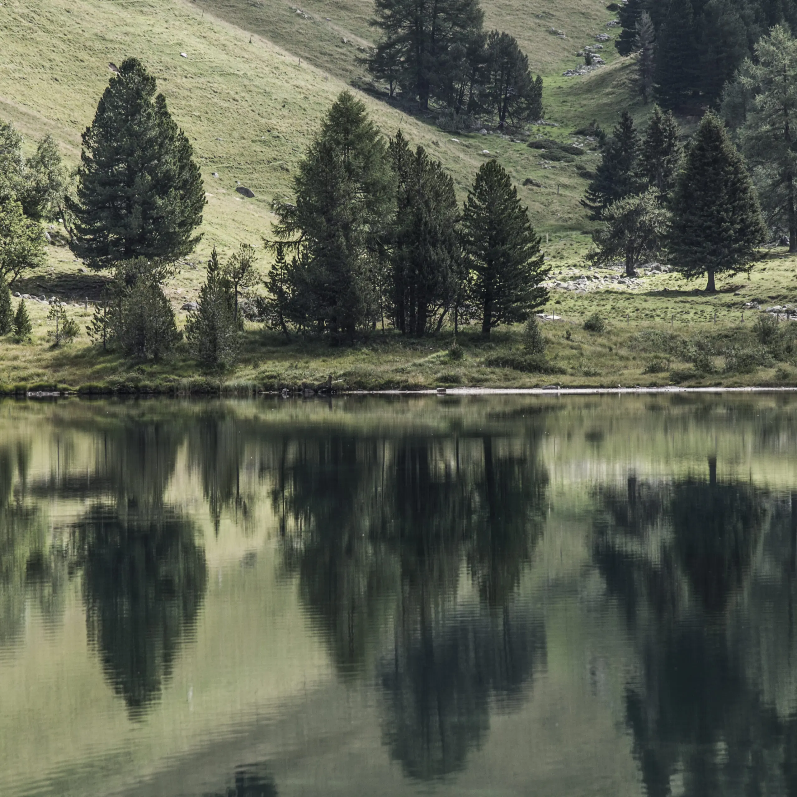 Wandbild (1228) Ser schöne See präsentiert: Wasser,Natur,Landschaften,Bäume