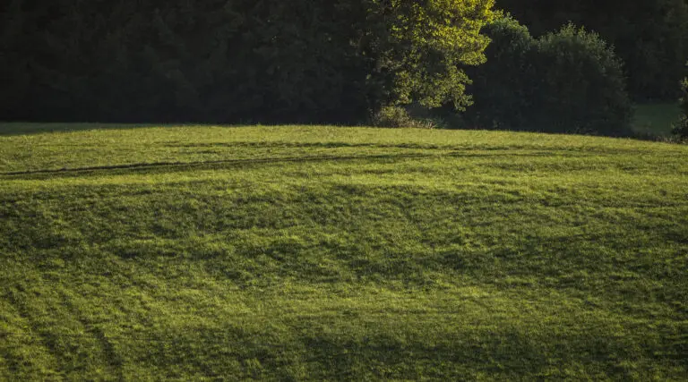 Green Hill