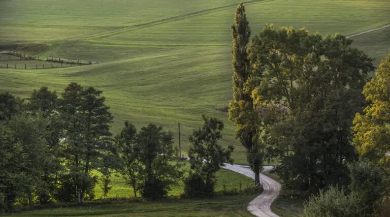 Weg ins Grüne