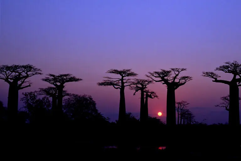  (1238) Cuche Soleil du  Baobab präsentiert: Gewässer, Landschaften, Seen, Sommer, Wasser