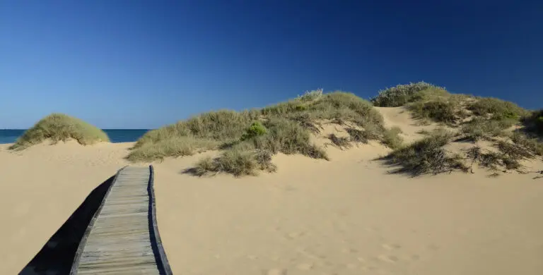 Der Weg