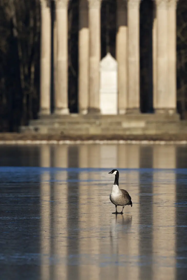  (1322) Antike Gans präsentiert: Architektur, Sonstige Architektur