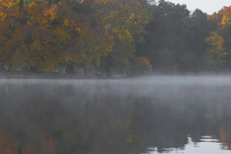 Morgennebel