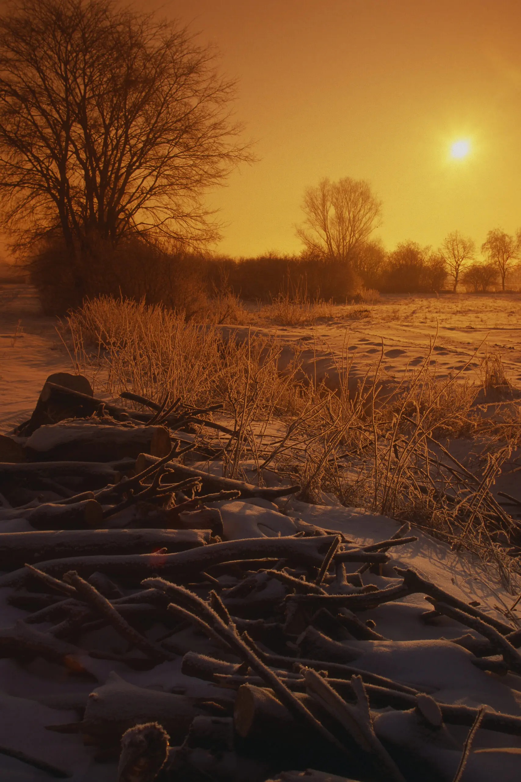 Wandbild (1521) Abendrot präsentiert: Landschaften,Schnee und Eis