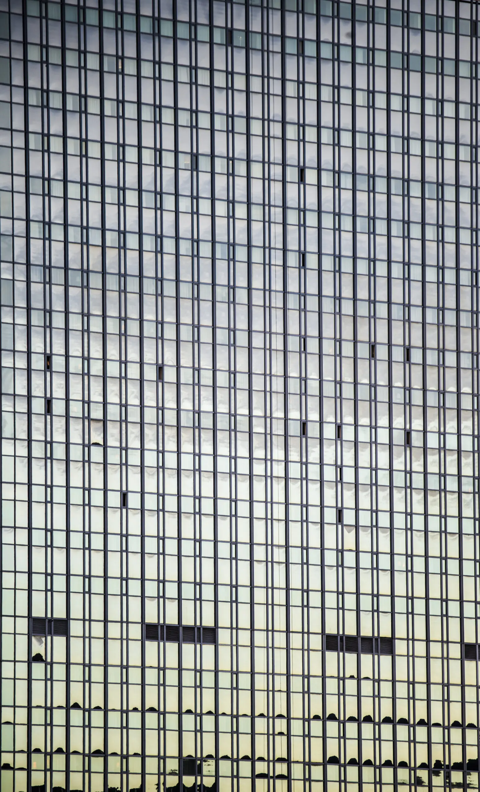 WindowsXY