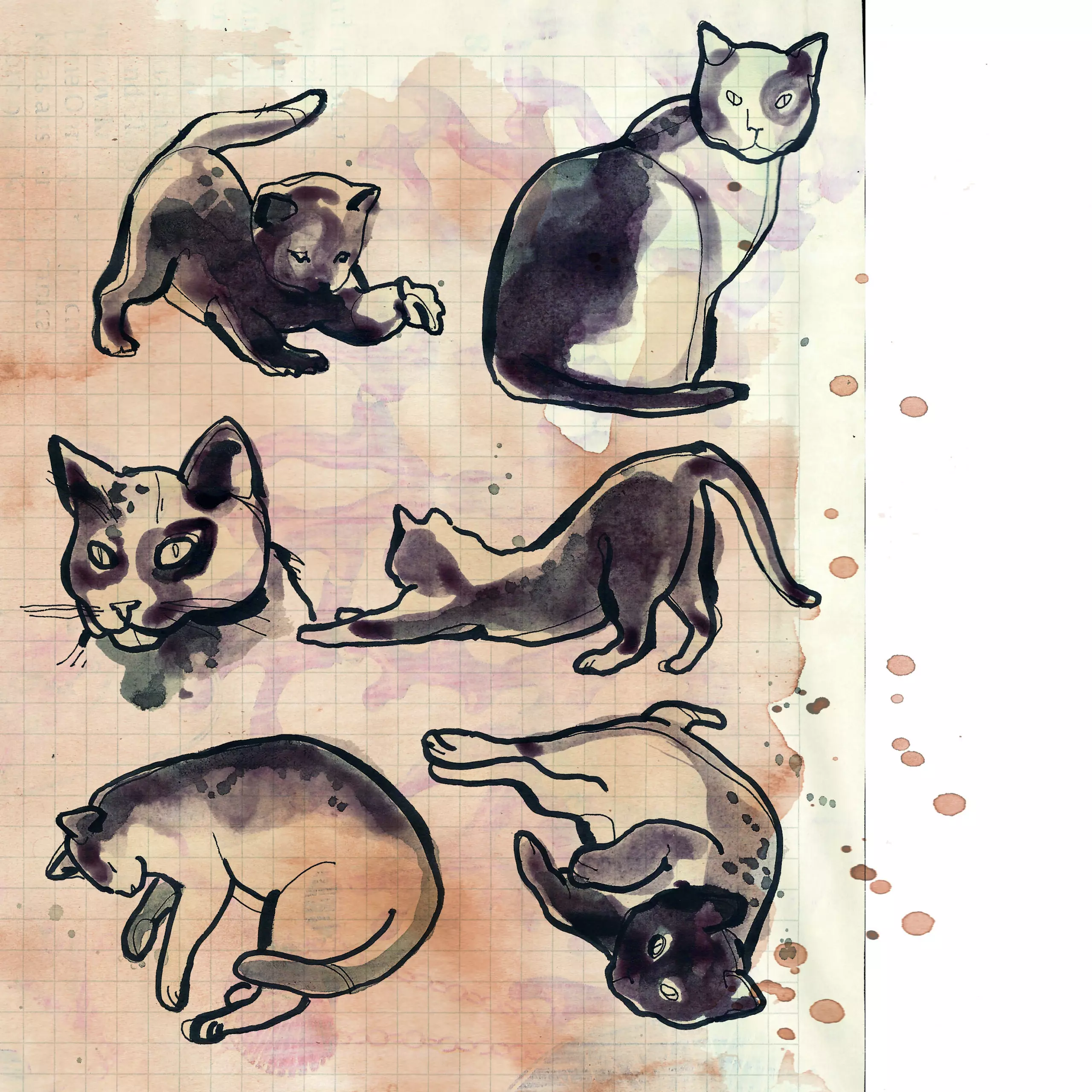 Wandbild (1541) Purring friend. präsentiert: 