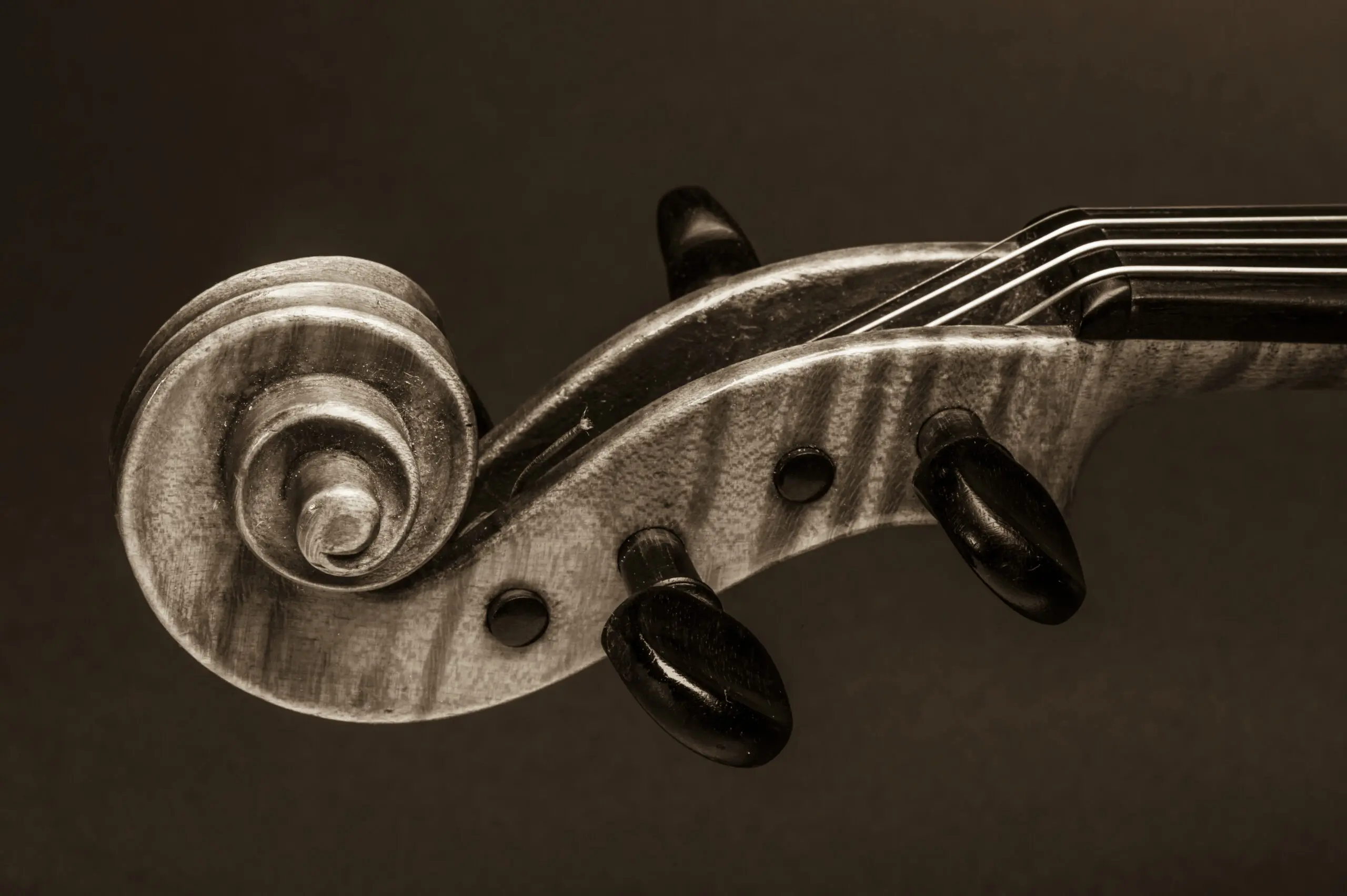 Wandbild (1639) My Violin 2 präsentiert: Stillleben,Kreatives,Details und Strukturen,Instrumente