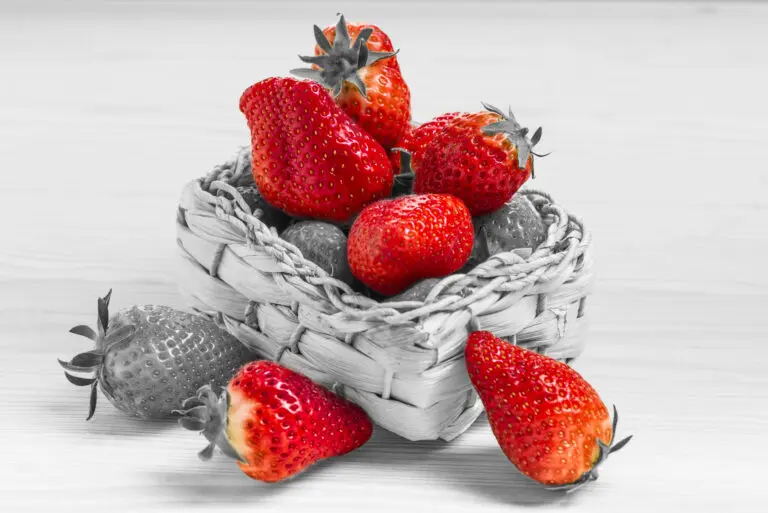  (1619) Fragola präsentiert: Essen und Getränke, Stillleben
