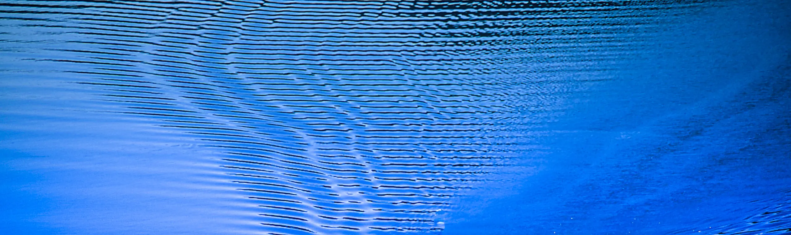Wandbild (1630) Blaue Welle* präsentiert: Stillleben,Wasser,Details und Strukturen,Abstrakt,Essen und Getränke