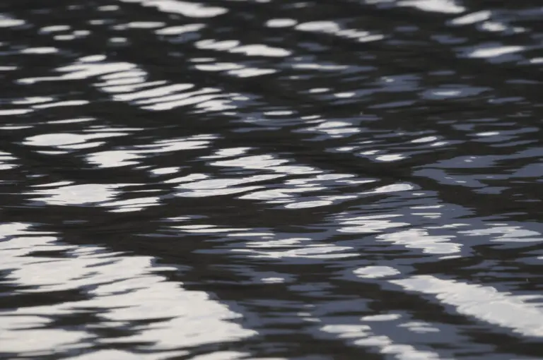 (1897) Black Water präsentiert: Abstrakt, Details und Strukturen, Gewässer, Landschaften, Natur, Seen, Wasser, Wasserspiegelungen