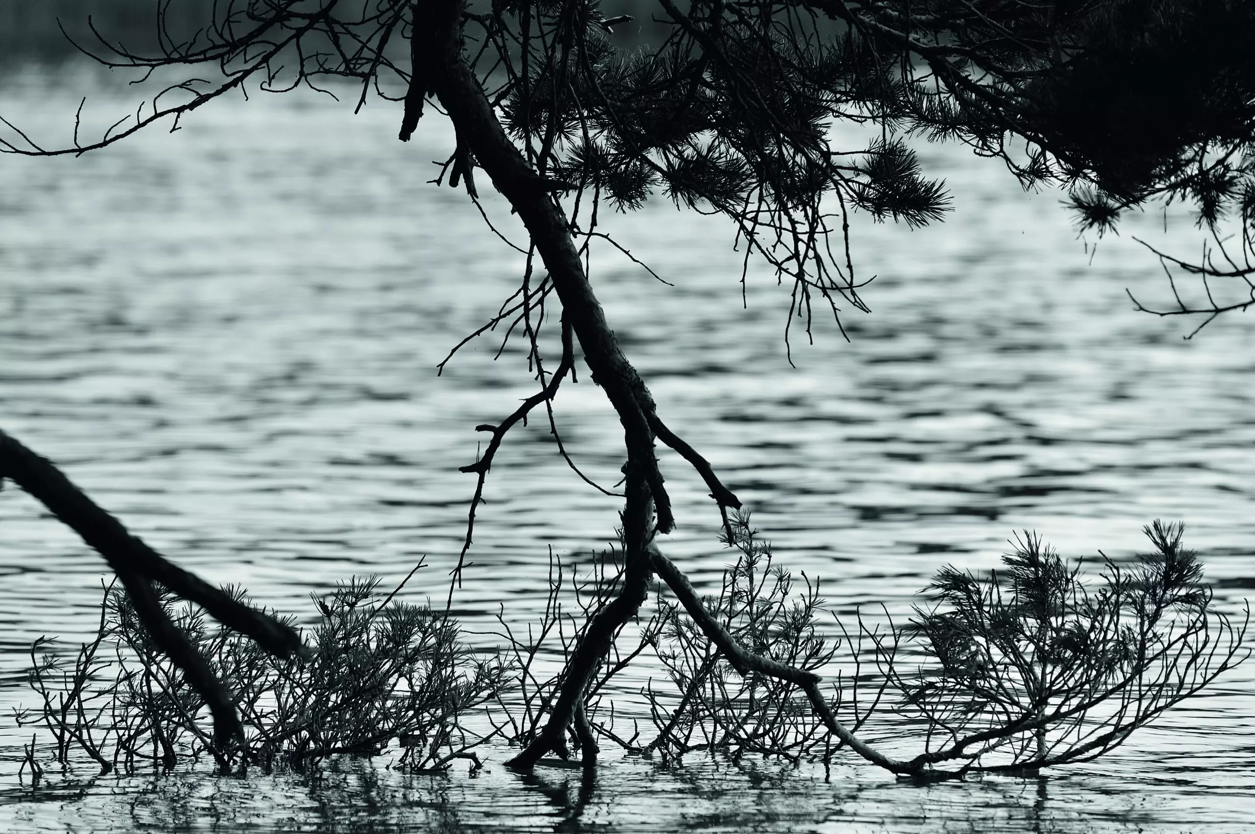 Wandbild (1904) Getting Connected präsentiert: Wasser,Natur,Landschaften,Sonstige