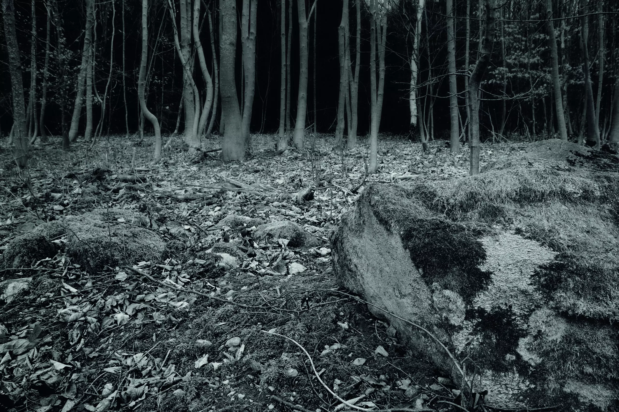 Wandbild (1906) Entering the woods präsentiert: Kreatives,Natur,Landschaften,Wälder