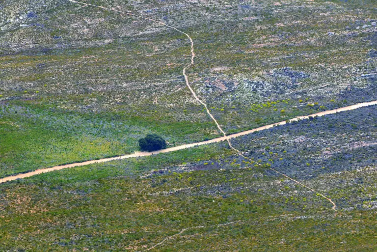  (1913) Nowhere Road präsentiert: Afrika, Landschaften