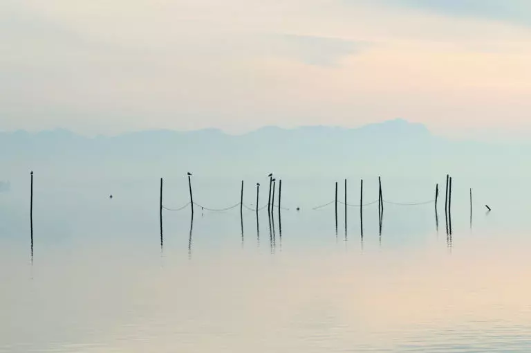 Resting Poles