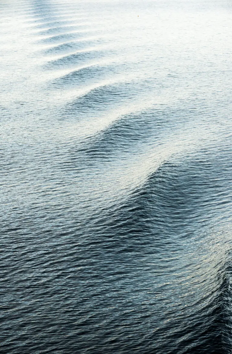  (2006) Waterway präsentiert:  