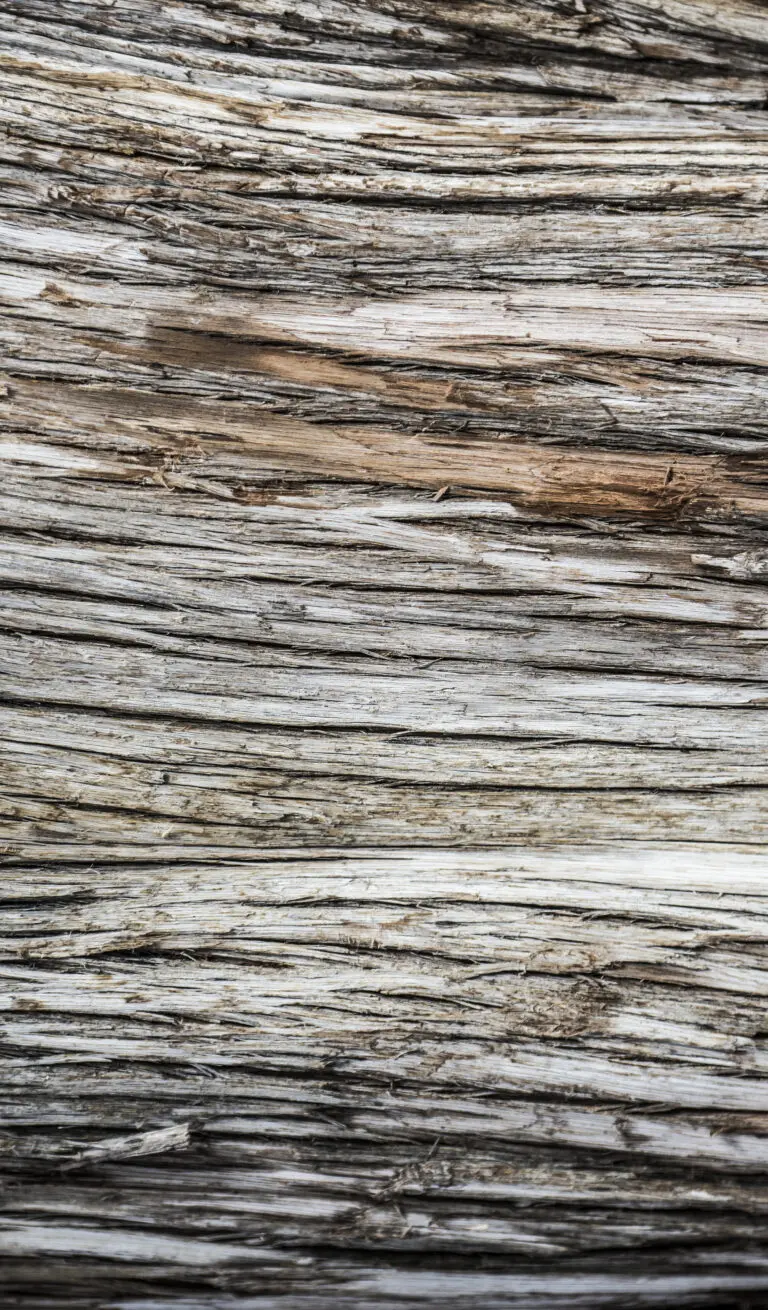  (2064) World of Wood 2 präsentiert:  