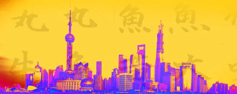 Pudong City
