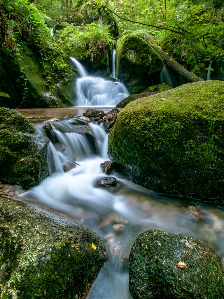  (2207) Folge dem Wasser präsentiert: Bäche und Flüsse, Gewässer, Landschaften, Wasser, Wasserfälle