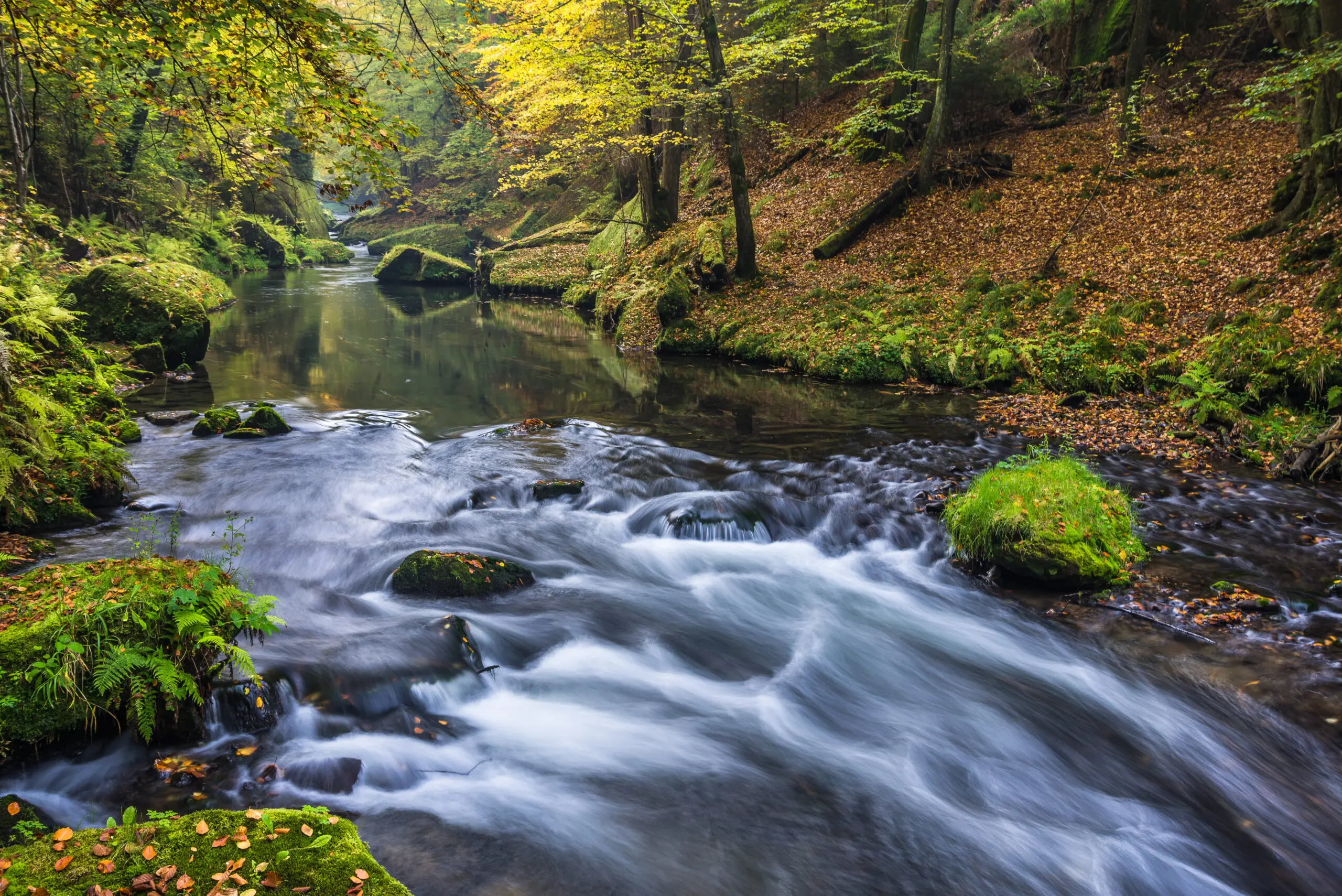 Wandbild (3044) Herbstlicher Bach in der Böhmischen Schweiz präsentiert: Wasser,Landschaften,Gewässer,Bäche und Flüsse