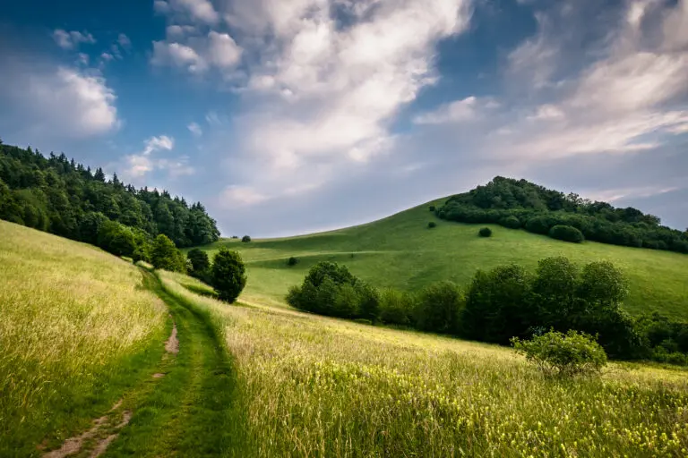 Sommerhügel im Kaiserstuhl