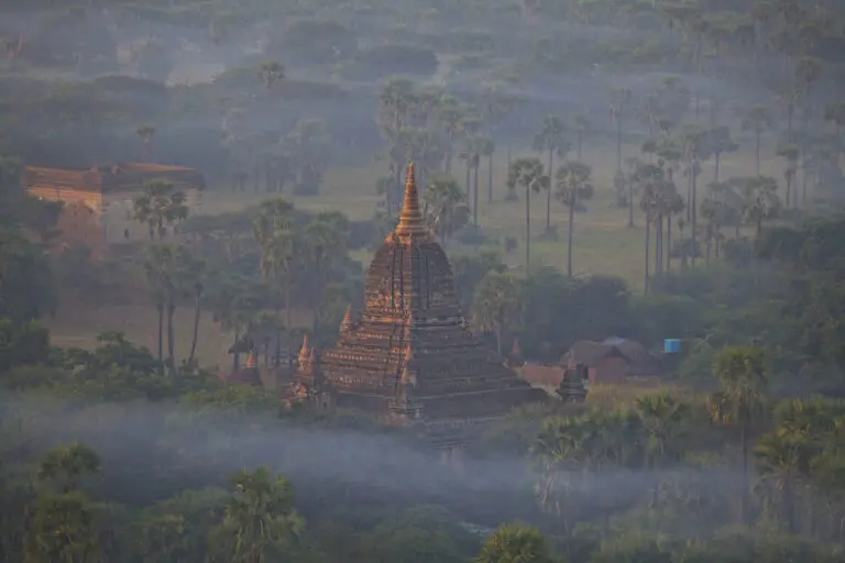 Jungle Temple