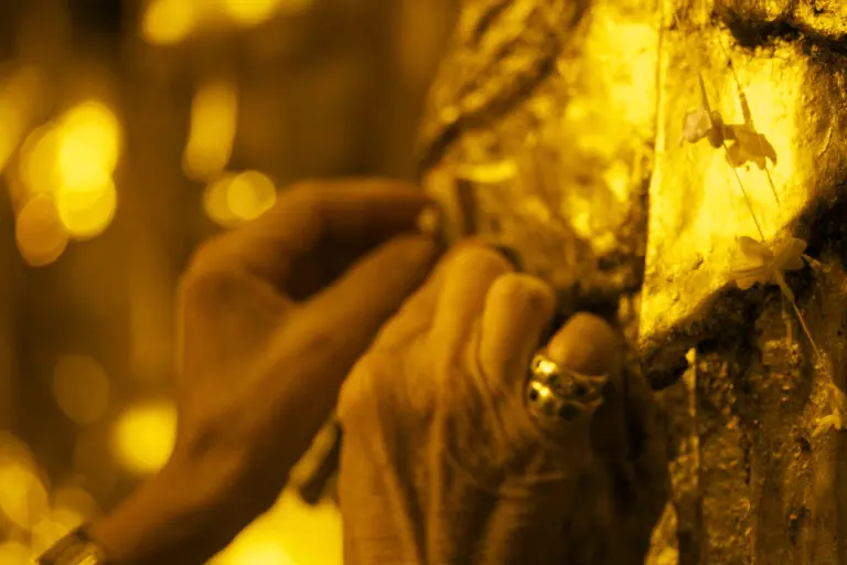 Touch of Gold 4