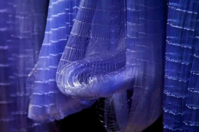 Purple Web